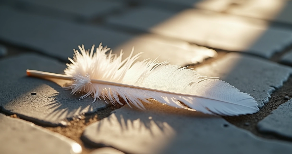 Pena branca no chão com luz suave 