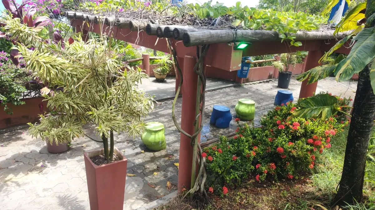 Pérgola de madeira com plantas e bancos coloridos em jardim