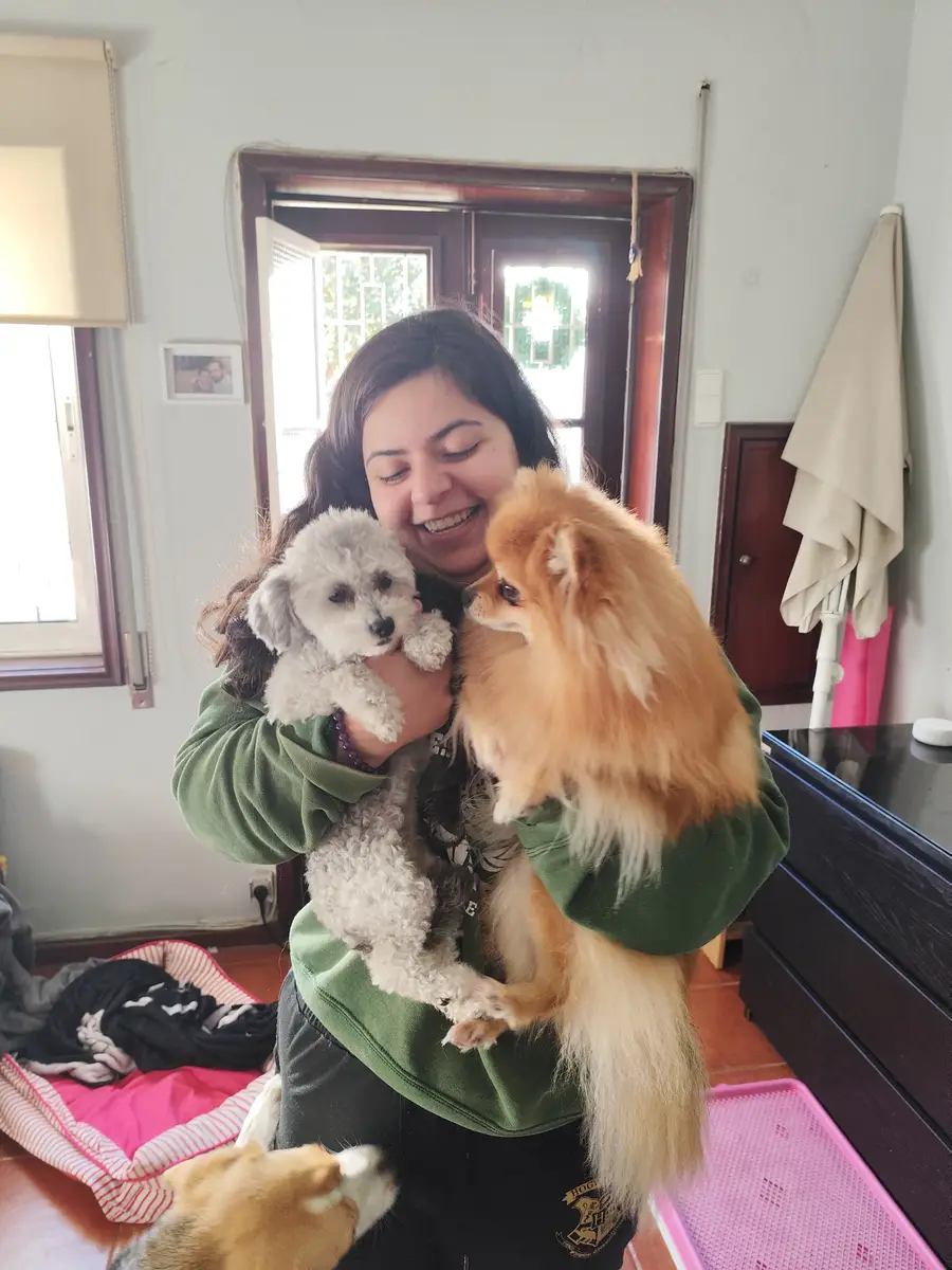 Pessoa a segurar dois cães pequenos dentro de casa com mais um cão no chão