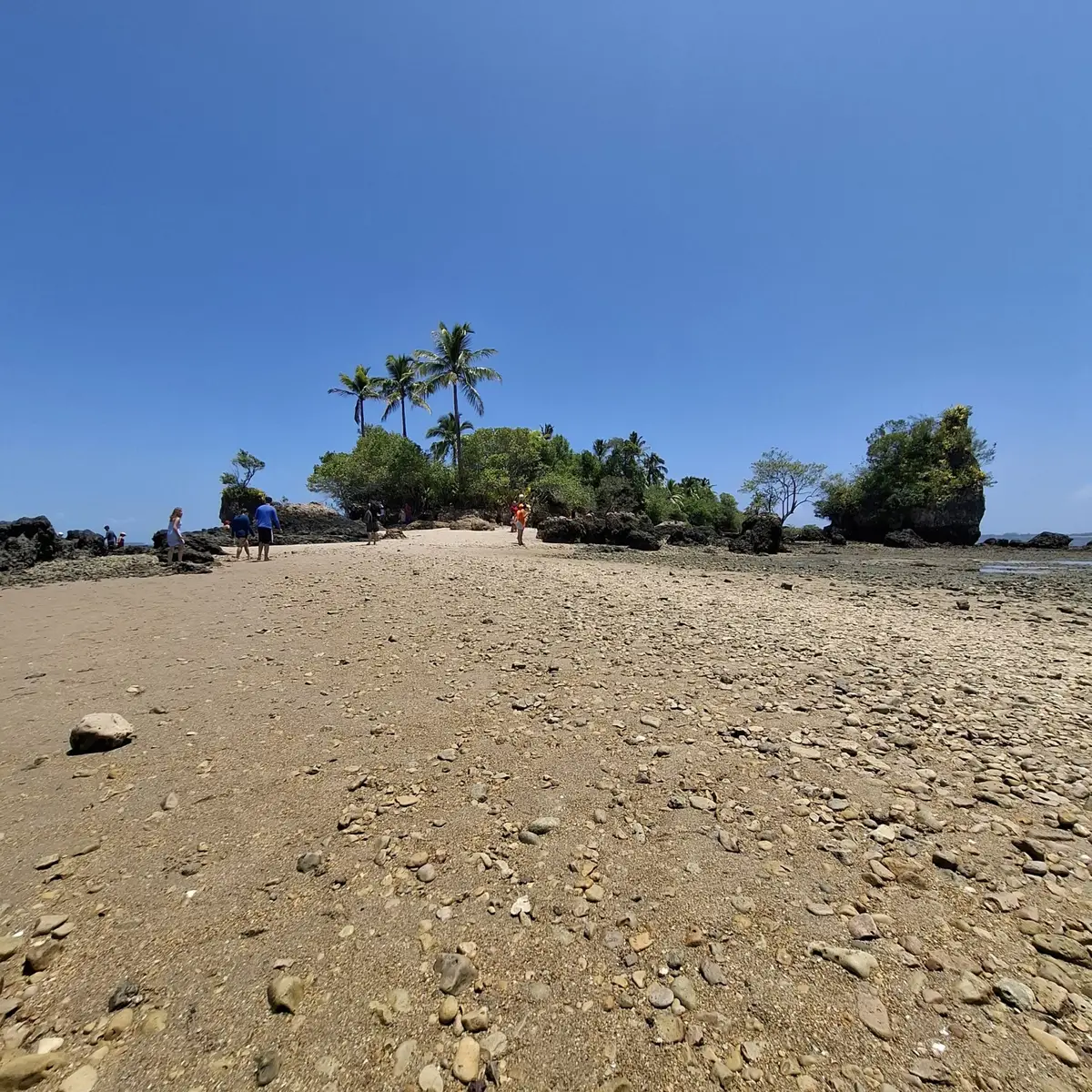 Praia com areia e pedras, vegetação de coqueiros e poucas pessoas caminhando sob céu azul claro