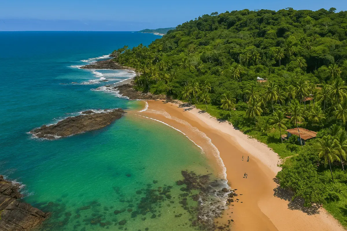 Praia paradisíaca com areia dourada, mar verde e árvores ao redor