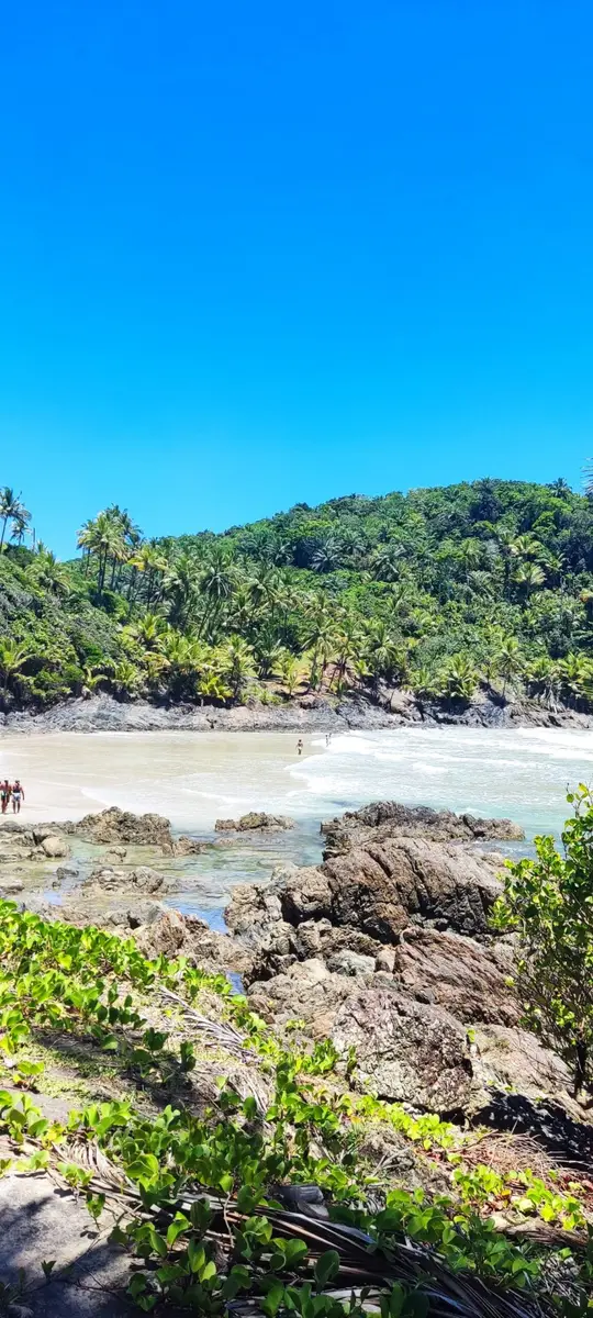 Praia deserta com pedras na areia e vegetação tropical sob céu azul claro