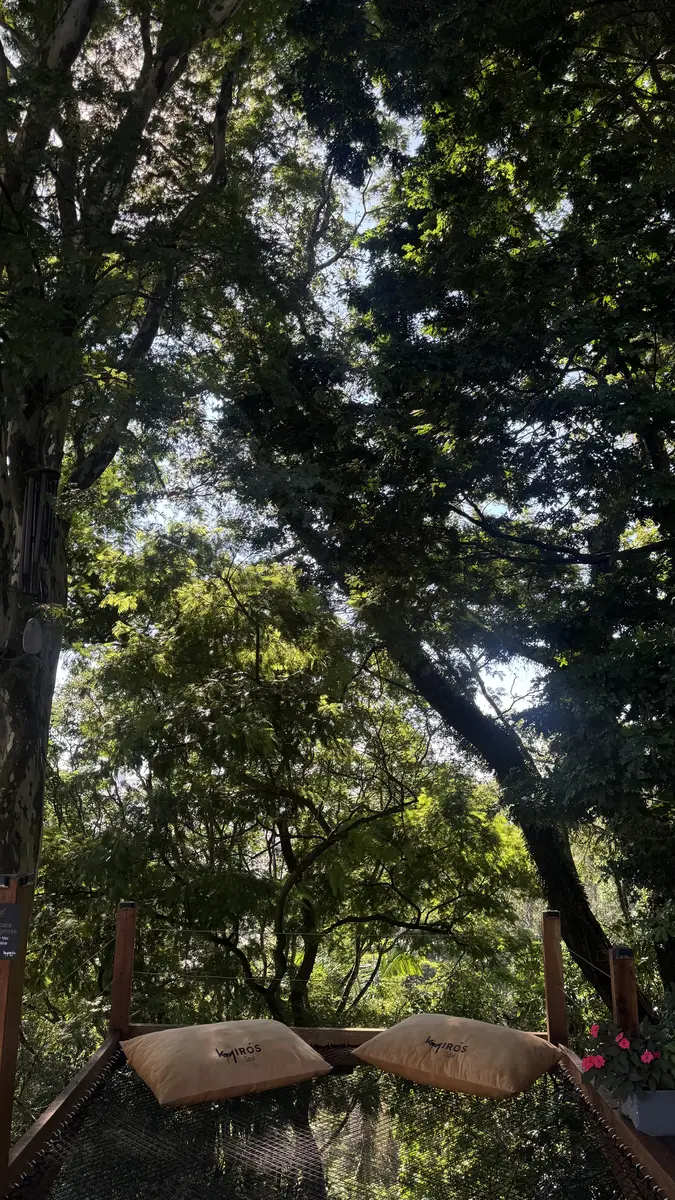 Rede de descanso com duas almofadas Kairós Spa em meio a árvores com luz solar filtrada