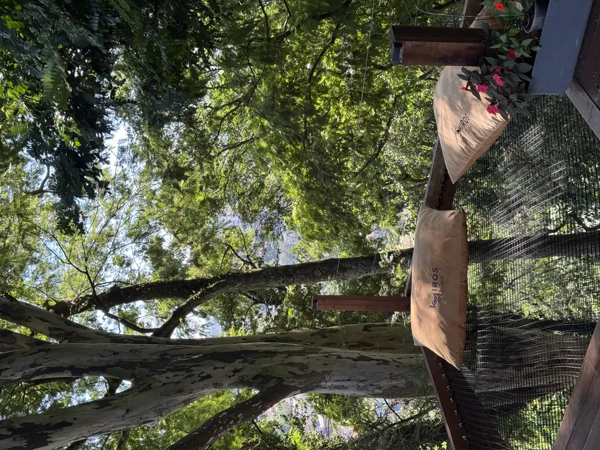Rede de descanso suspensa entre árvores com almofadas do Kairós Spa