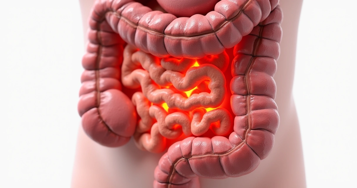 Ilustração realista do sistema digestivo com destaque em câncer no intestino grosso e reto, mostrando áreas afetadas em vermelho 