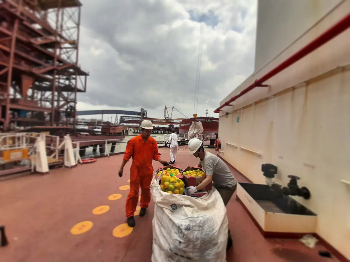 Two sailors handling fresh fruit on a ship deck near port