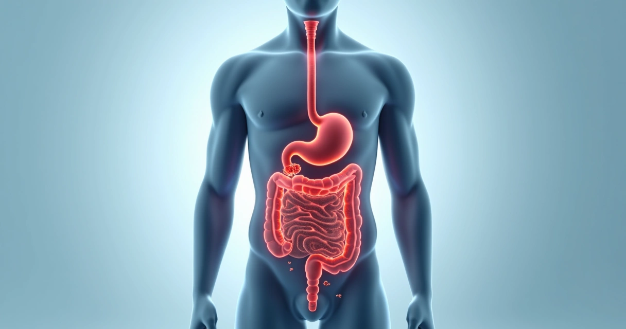 Ilustração de aparelho digestivo humano destacando possível sangramento interno 