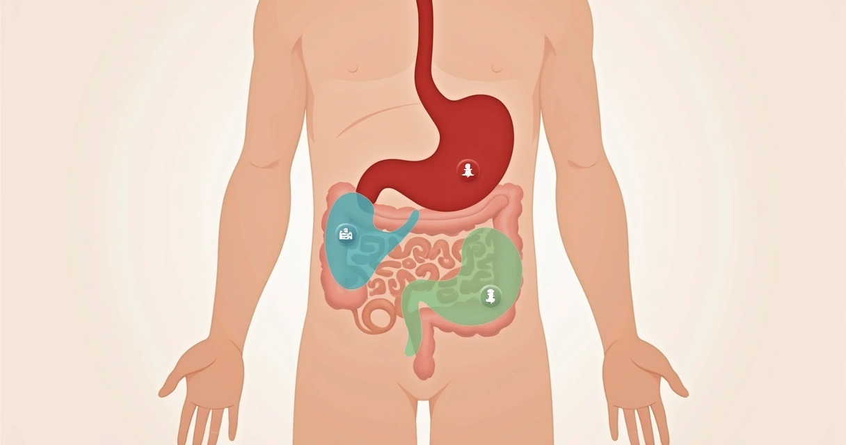 Desenho mostrando áreas do abdome com marcações de tipos de dor 