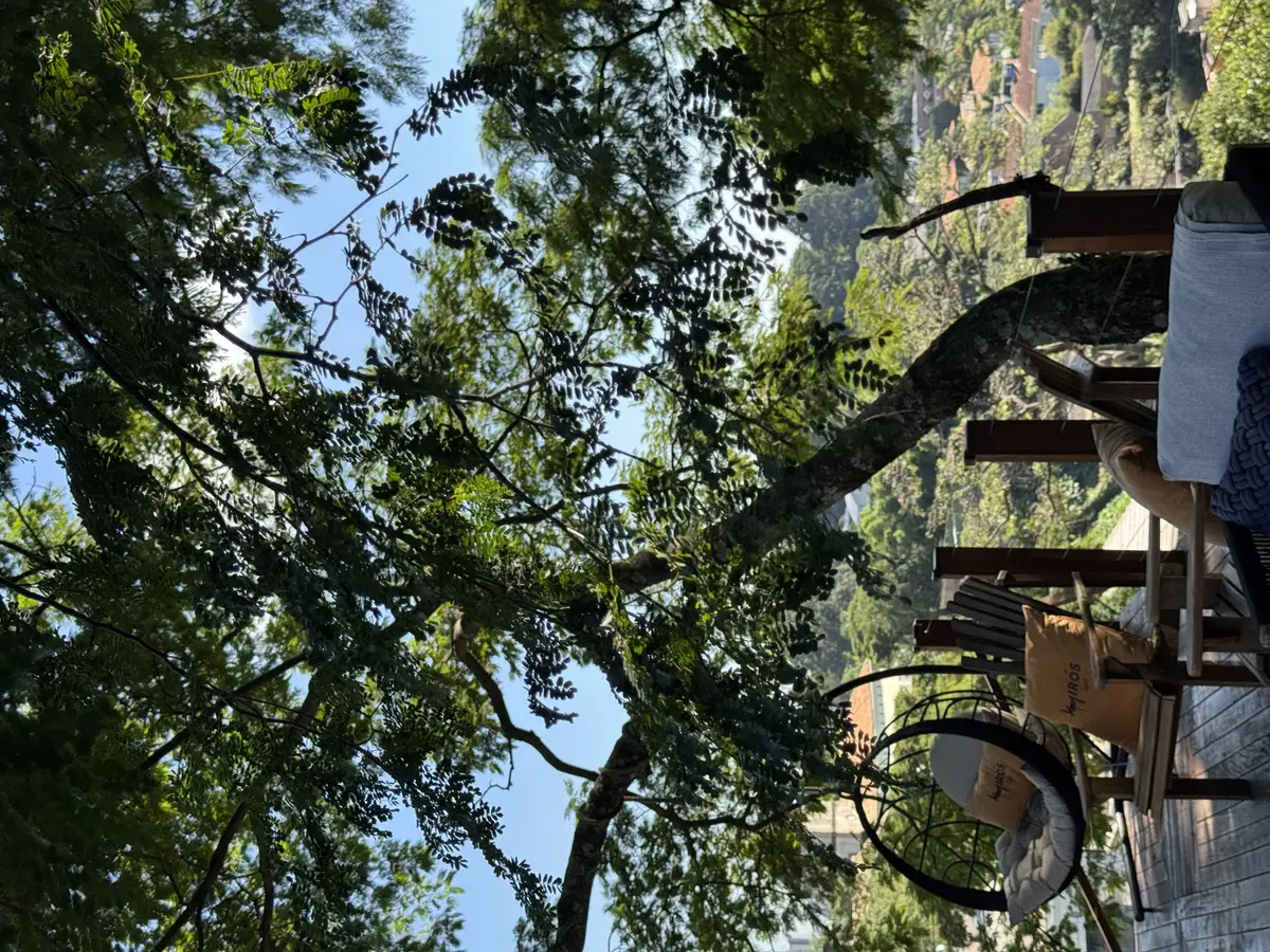 Varanda com móveis confortáveis e vista para árvores verdes sob o céu azul
